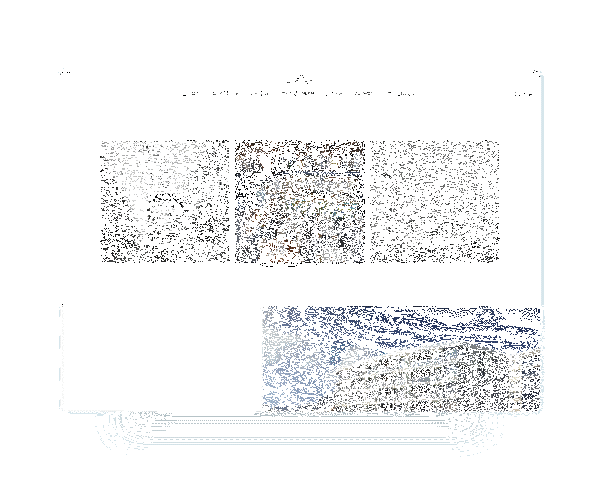 eurovea riverside gif touch4it